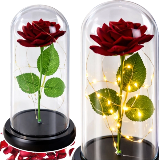 Romantisk rose under en beskyttende kuppel