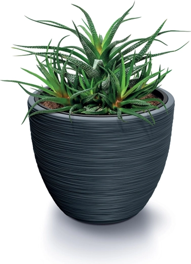 Holdbar og stabil til større planter