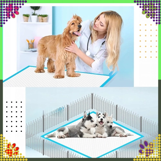 Renhed under træning og pleje