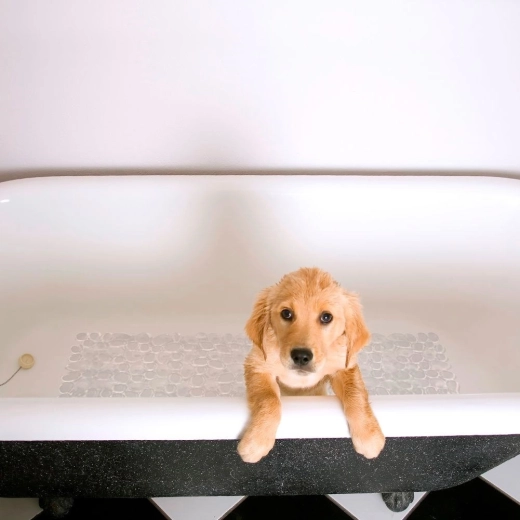 Komfort og beskyttelse af fødderne