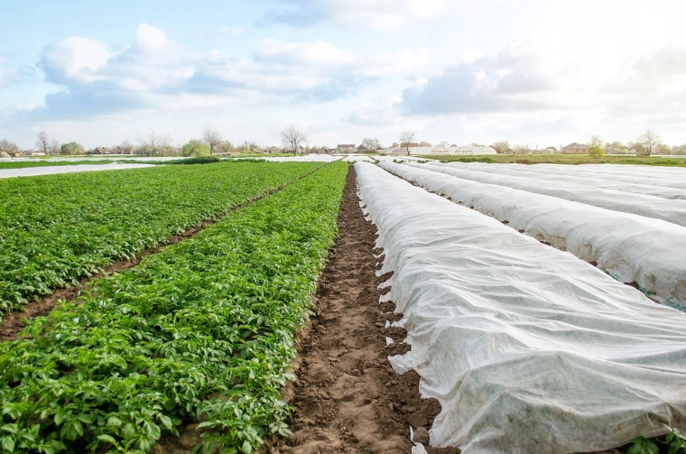 Pålidelig beskyttelse mod forårsnattefrost