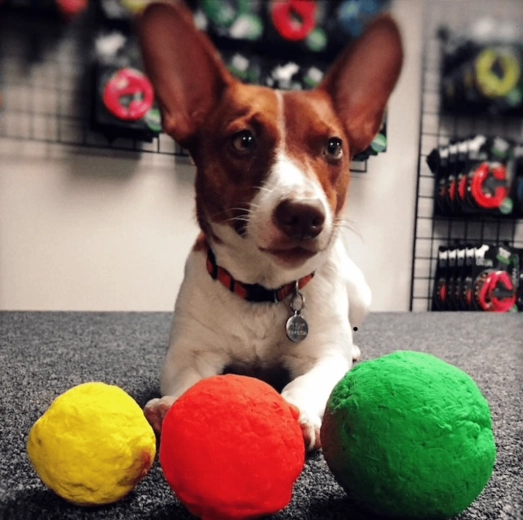 Sjov hjemme, ude og i vand