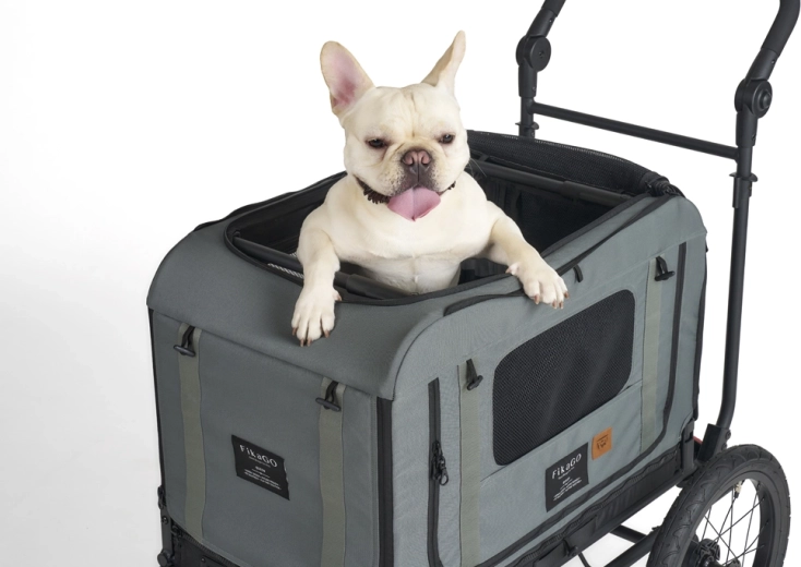 Robust og sikker transportkasse for hundens ro