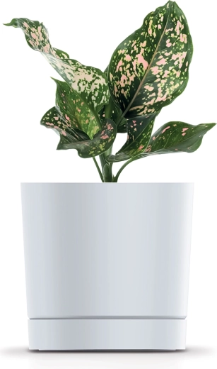 Tidløst lysegråt design