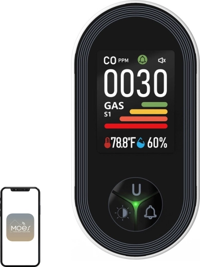 Moes-detektor til kulilte og brændbare gasser med farvedisplay (S02-CG)