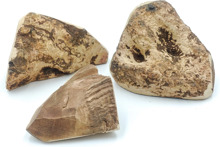 Ideel til mange hundes behov