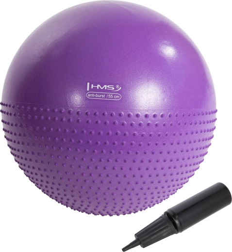 Massage-gymnastikbold HMS YB03N 55 cm lilla
