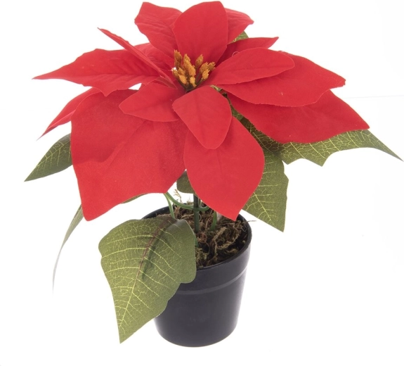 Kunstig julestjerne (poinsettia) i potte, rød 19 cm