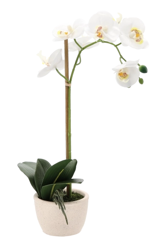 Stabil og elegant potte