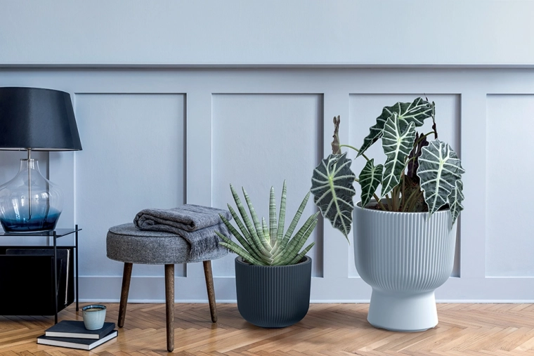 Aftagelig indsats med greb for nem omplantning