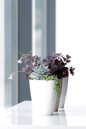 Stilfuldt tilbehør til både indretning og altan