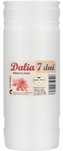 Sæt med 10 parafinindsatser Dalia 19 cm (168 t)