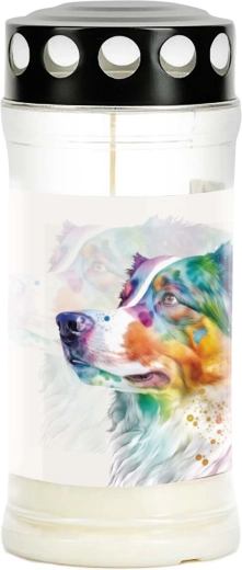 Gravlys Provence – hund, brændetid 4 dage