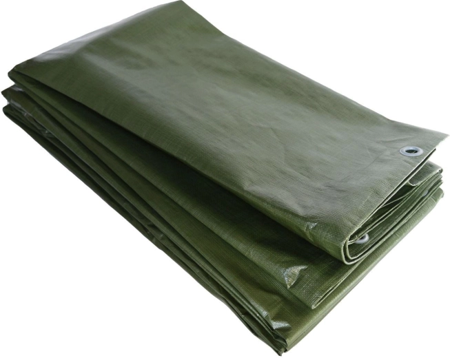 Beskyttende PE-presenning 5 × 8 m STANDARD