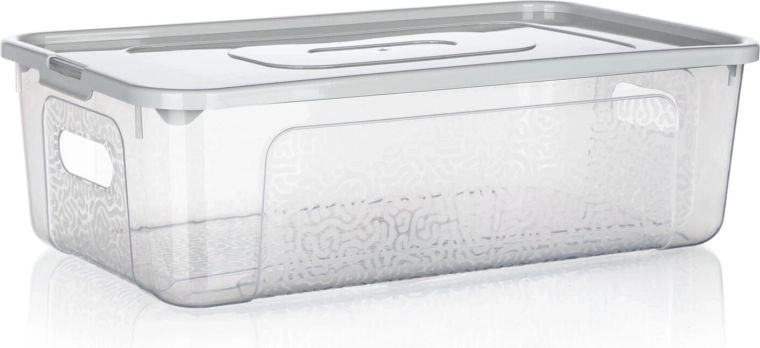 Plastopbevaringsboks med låg MULTIBOX 5 l