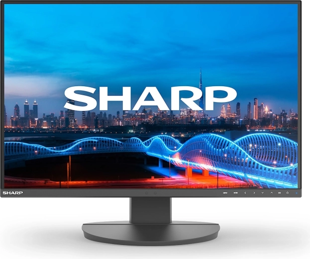 Firmaskærm 24" sort