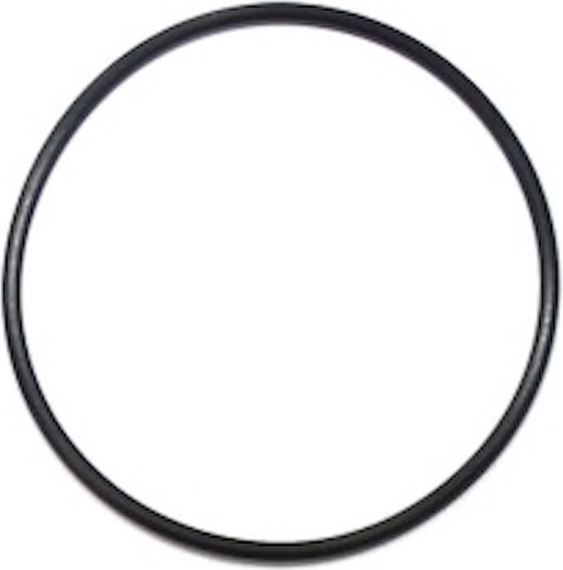 O-ring til tætning af filterhovedet til ProStar Profi 8