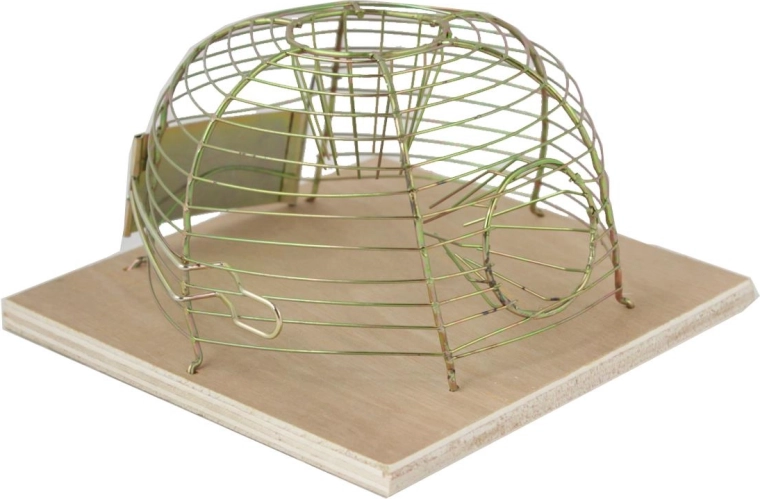 Levende-fangst musefælde 14 × 14 cm