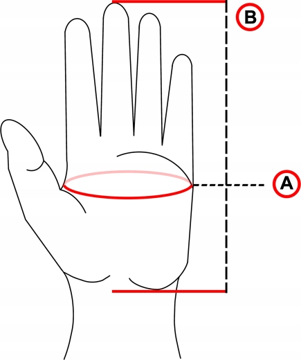 Vinter touch-sportsvanter – foret og vandafvisende, størrelse L