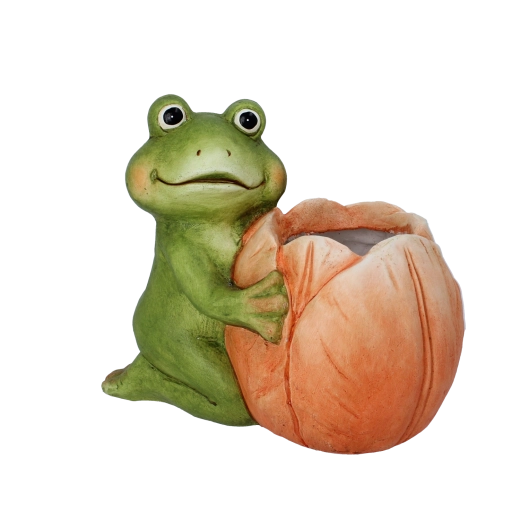 Havekrukke frø med blomst