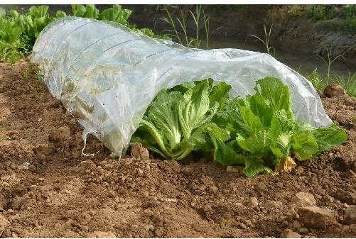 Havefilm tunnel 300 × 65 × 45 cm