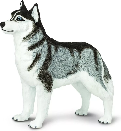Safari Ltd. figur af sibirisk husky - 1 stk.