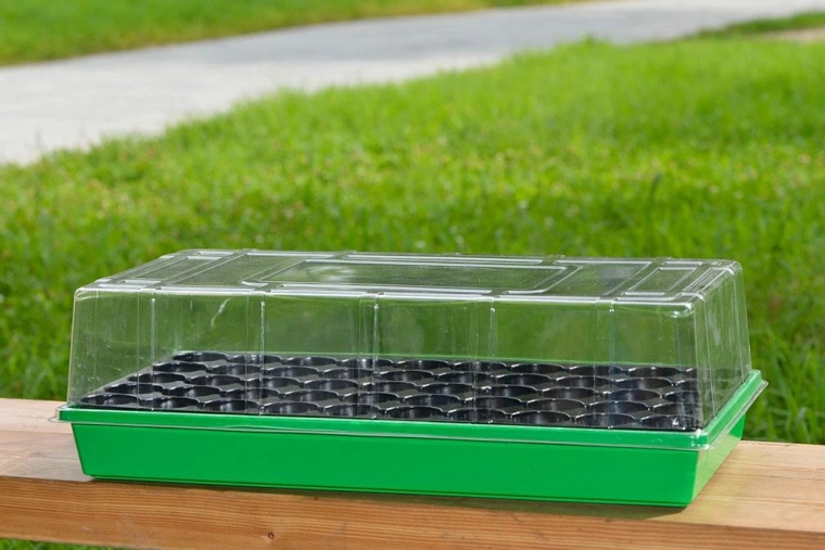 Plastisk såbakke med låg 55 × 29 × 16 cm