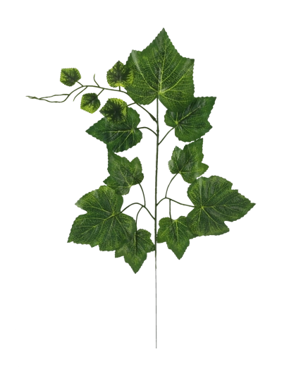 Vindrueblad