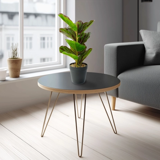 Kunstig dekorativ zebraplante grøn/sort