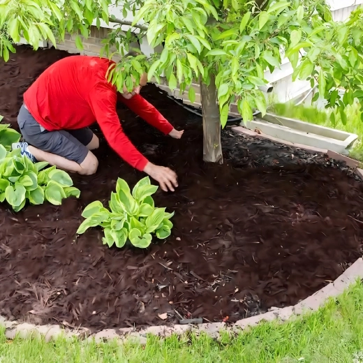 Havetekstil mod ukrudt 70 g/m², 1,1 × 50 m, sort, UV-stabiliseret