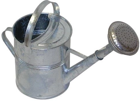 Havevandkande af galvaniseret stål 5 l med spreder