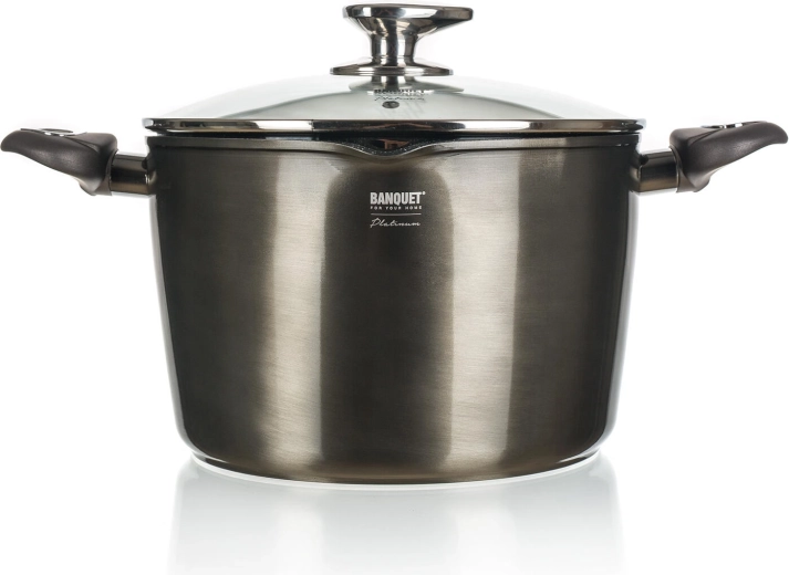 Gryde med nonstick-belægning 6,2 l METALLIC PLATINUM, 24 cm med glaslåg