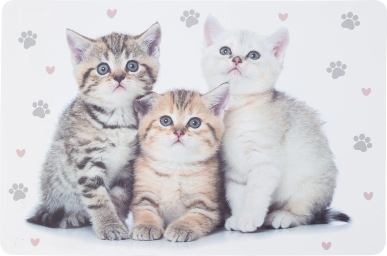 Plastisk børnebordskåner med dyr 43,5 × 28,5 cm