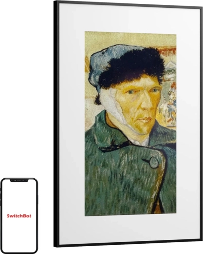 SwitchBot AI Art Frame 31,5" digital fotoramme
