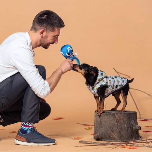 Vintertøj til hund Avengers størrelse XS