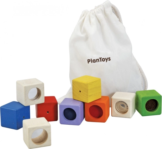 PlanToys Sanseklodser 9 stk.