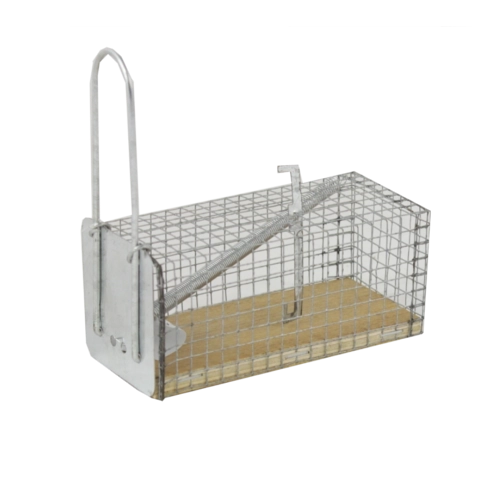 Levende fælde til mus og rotter 11 × 5,5 × 5,5 cm