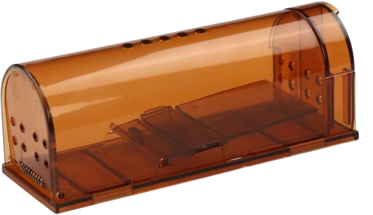 Human muse- og rottefælde til levende fangst, gennemsigtig, 17 × 6,2 × 6,4 cm, 2 stk.