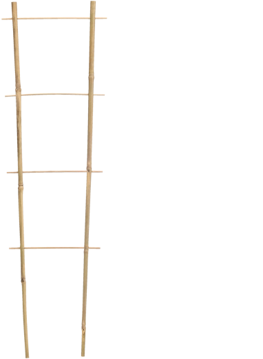 Bambus have støtte 90 × 35 cm, diameter 10/12 mm