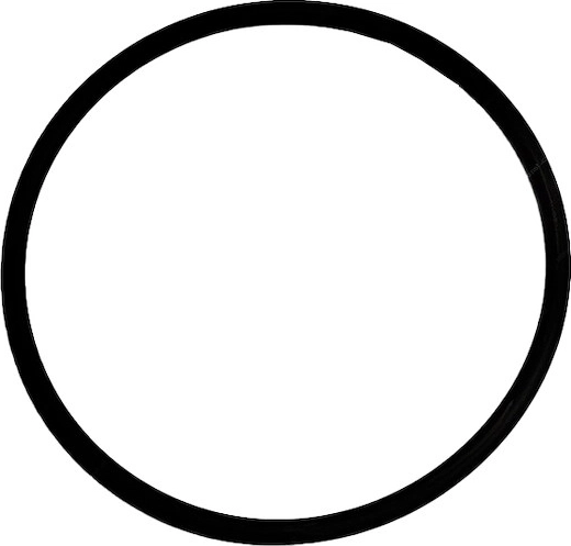 O-ring til forfilterlåg til ProStar 6000 filtrering