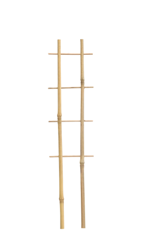 Dobbelt bambusstøtte til planter 37 cm