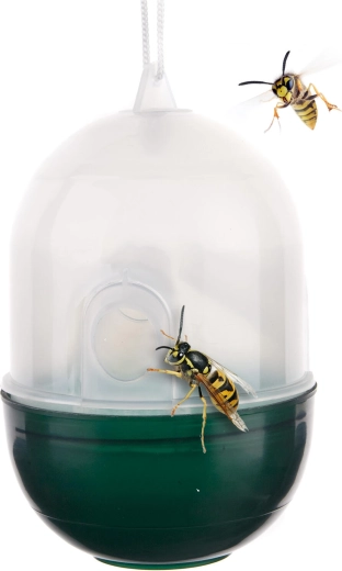 Plastik hvepsefanger transparent/grøn 8 × 11 cm