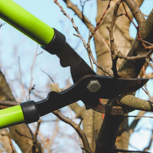 Havesaks til grene med stålblad