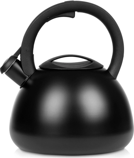 Vilde kedel i rustfrit stål med fløjte, mat sort, 2,7 l
