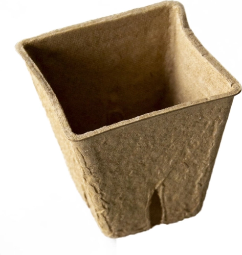 Engangs tørvepotte 6 × 6 × 5,6 cm (20 stk.)