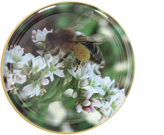 Sæt med låg Twist-off 82 mm med bitemotiv – 10 stk