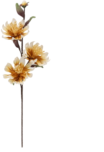 Dekorativ krysantemumblomst med 3 blomster, 101 cm, gul