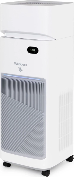 Luftrenser Webber AP9650