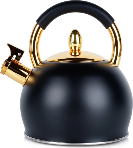 Vilde kedel i rustfrit stål med fløjte, sort med gyldne detaljer, 3 l