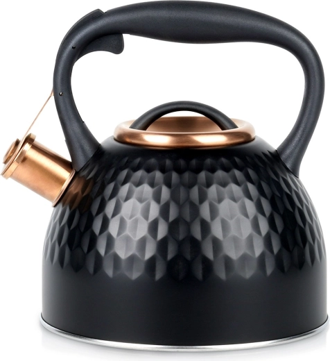 Vilde kedel i rustfrit stål med fløjte, sort, 2,5 l